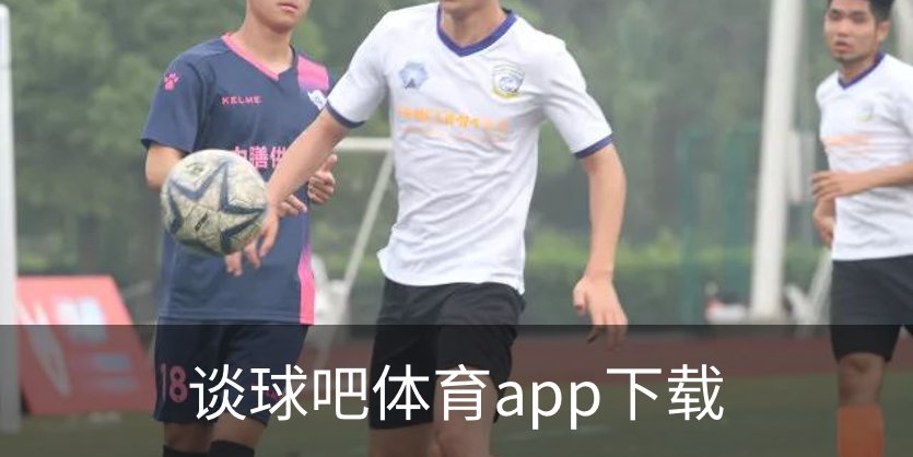 谈球吧体育app下载概况